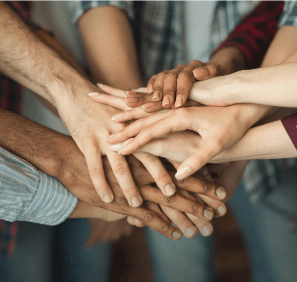 emprendimiento colectivo